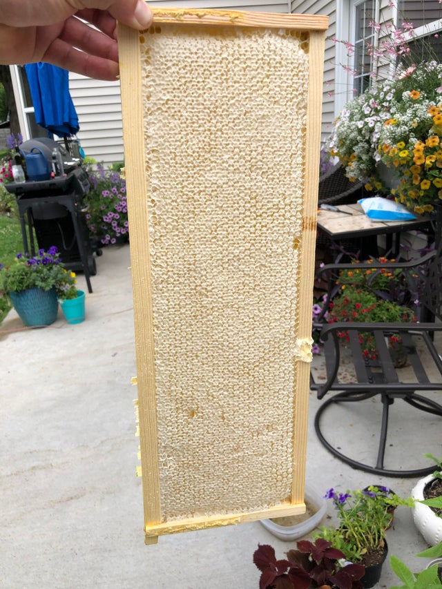 Vertical Vs. Horizontal