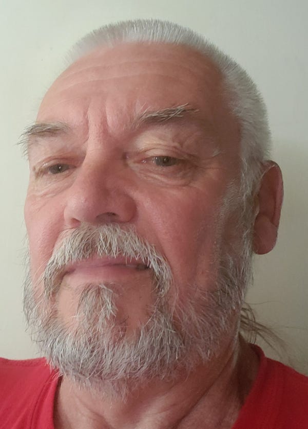 Master Gardener: Honey bee is the most important pollinator