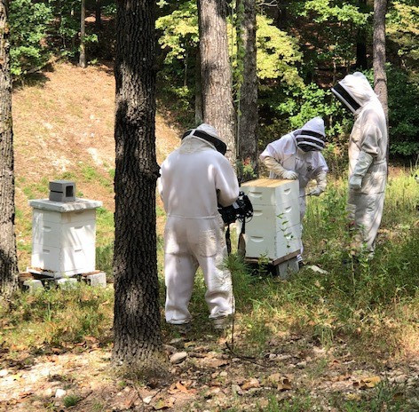 Take This Job and Love It: Bee Keeping