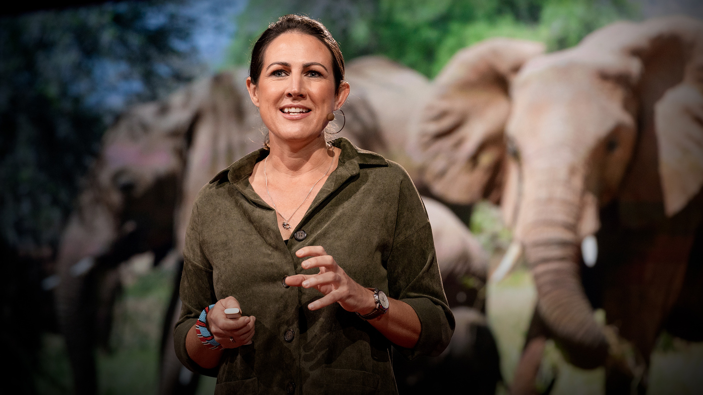 Lucy King: How Can Bees Keep The Peace Between Elephants And Humans?