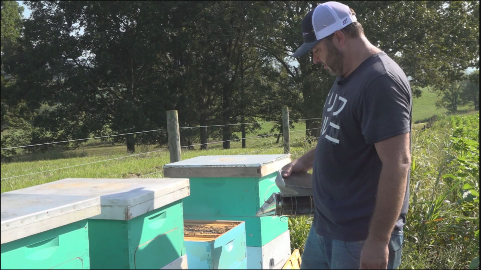 Grown Here at Home: Bees are a buzzin’ at Beaver Dam Farm in Botetourt County