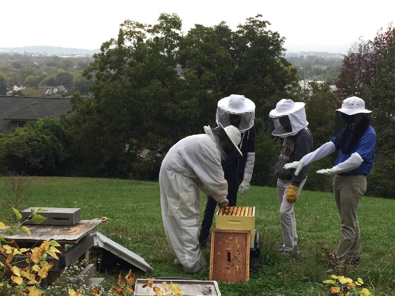 McCallie School beekeepers see themselves as protectors of the bees