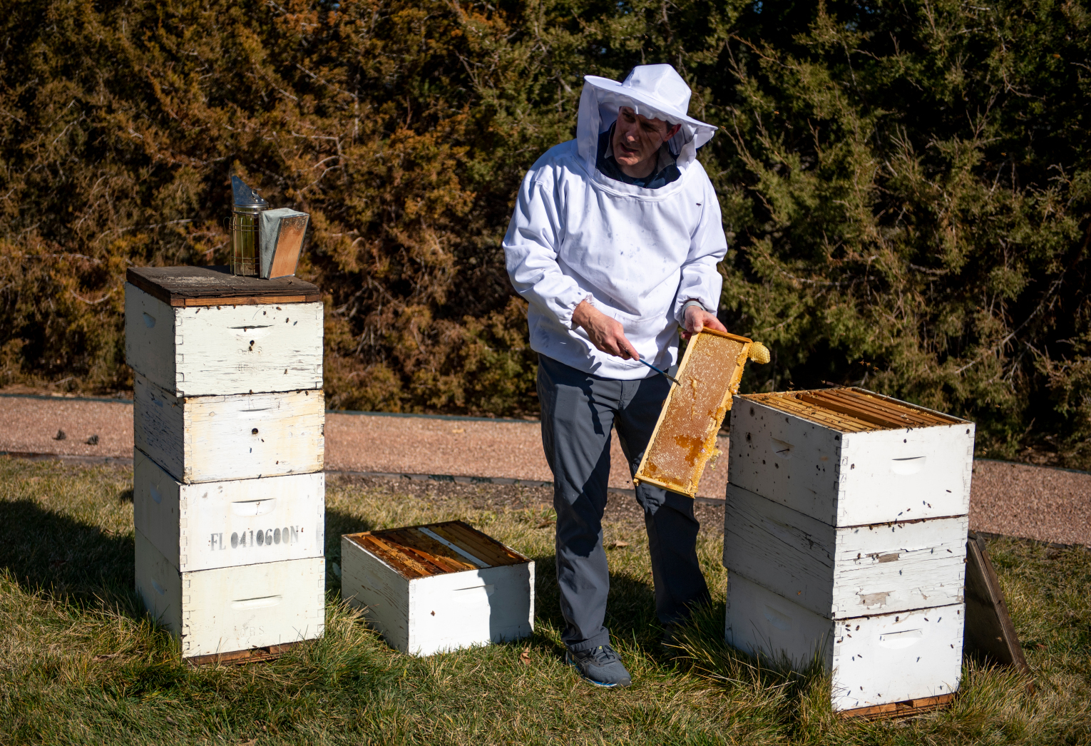Greeley honey company buzzing for US bees and beekeepers