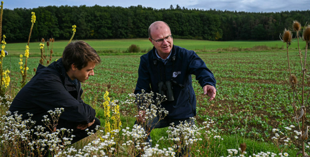 A grassroots push to save vanishing birds and bees forces change on Germany’s farms