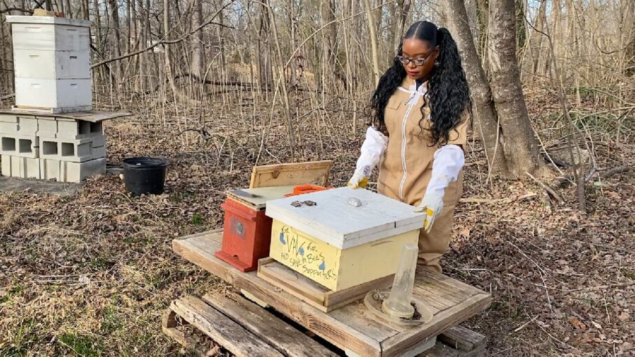 Beekeeper Educates Community About Bees and Farming