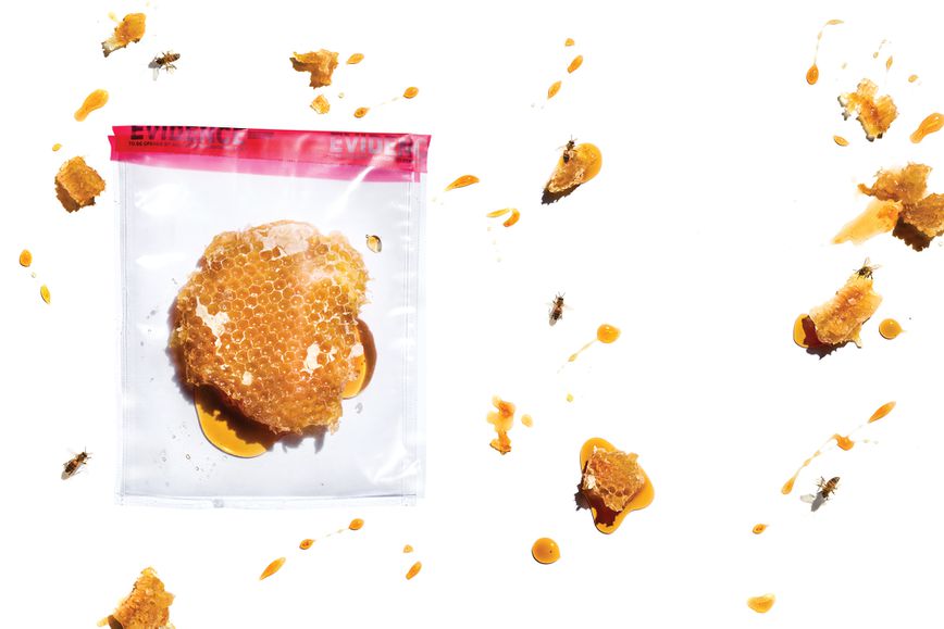 Bee theft is almost a perfect crime—but there’s a new sheriff in town