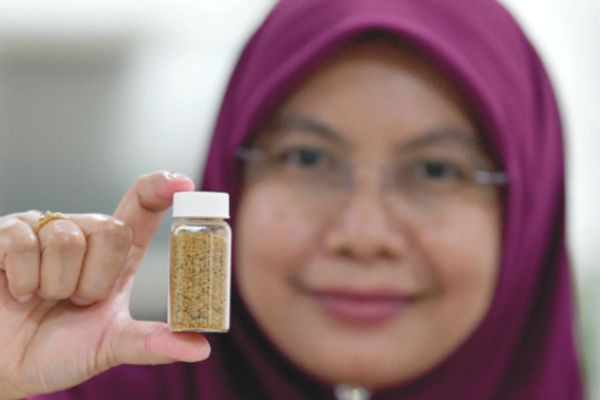 Discarded bee bread energy bars, anyone?