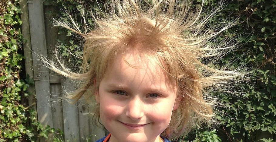 How you and me and flowers and bees get charged up (with static electricity)