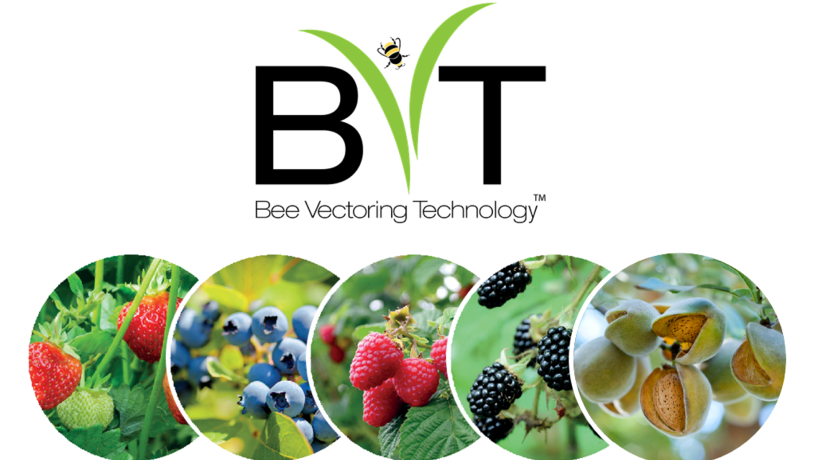 Bees as Crop Protection