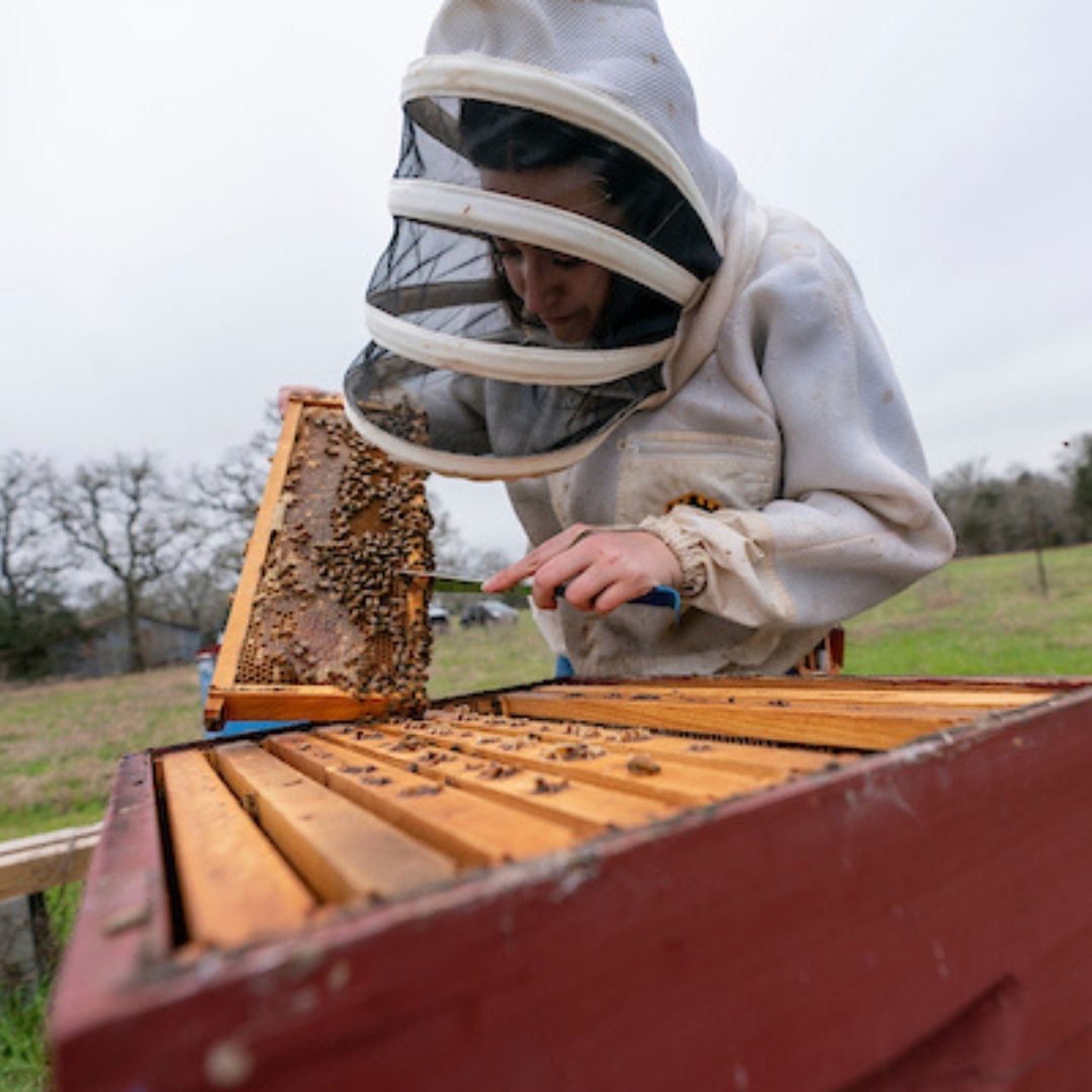 Looking to take the sting out of beekeeping?
