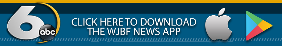 Why bees are so important for humans