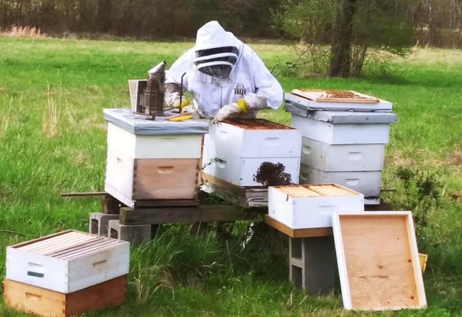 Mississippi Bee specialist shares tips on beekeeping