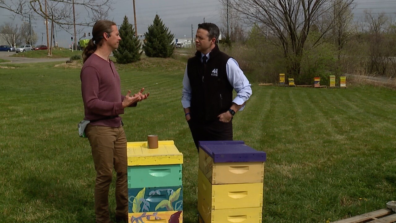 Bee farmers offer tips on helping bees thrive this spring
