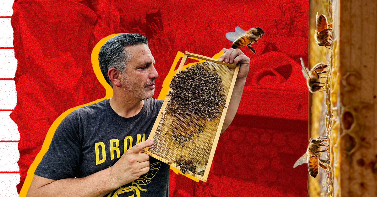 How I Got My Job: Building an Urban Beekeeping Business