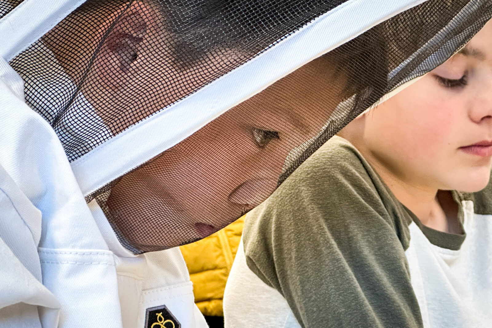 How do you remove a mite from a honey bee’s back? Ask these 5th graders